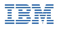 IBM et le PSiO